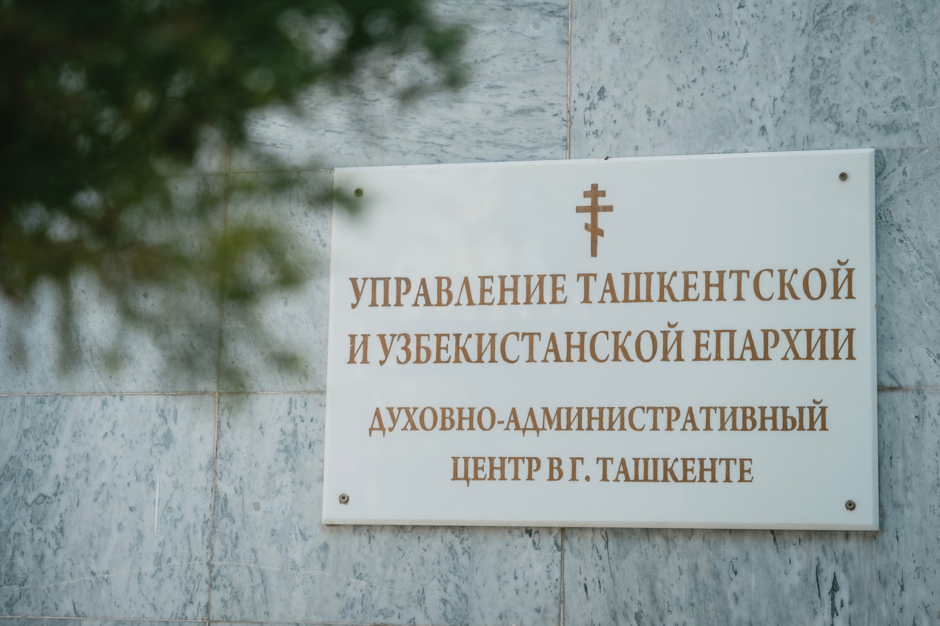 Ташкентская и Узбекистанская епархия © Katerina Kuznetsova / Instagram: tawshan